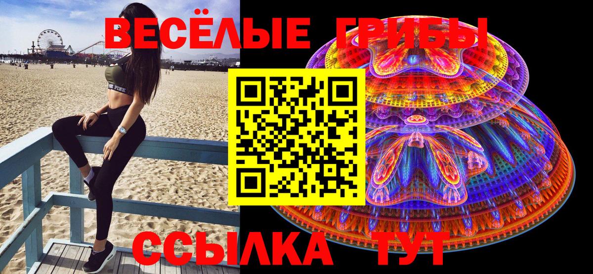 Псилоцибиновые грибы MAGIC MUSHROOMS  Вход с VPN  Белогорск 